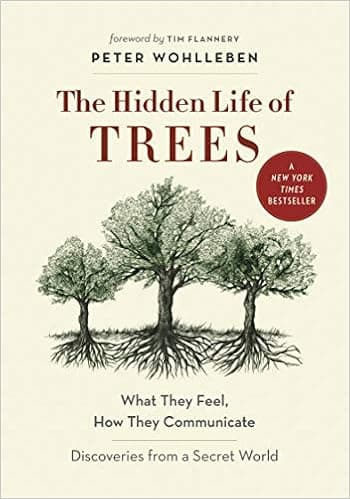 The Hidden Life of Trees: What They Feel, How They Communicate – Discoveries from a Secret World