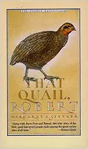 That Quail, Robert