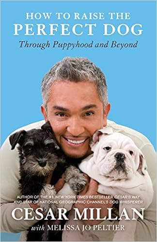How to Raise the Perfect Dog: Through Puppyhood and Beyond Audio Book Summary Cover