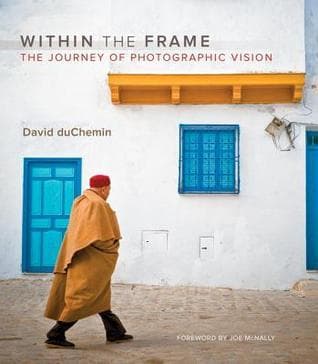 Within the Frame: The Journey of Photographic Vision Audio Book Summary Cover