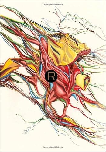 Rant Audio Book Summary Cover